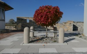 Poller, Terrassenplatten  
