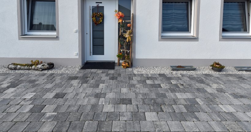 Tegula grau-schwarz-meliert