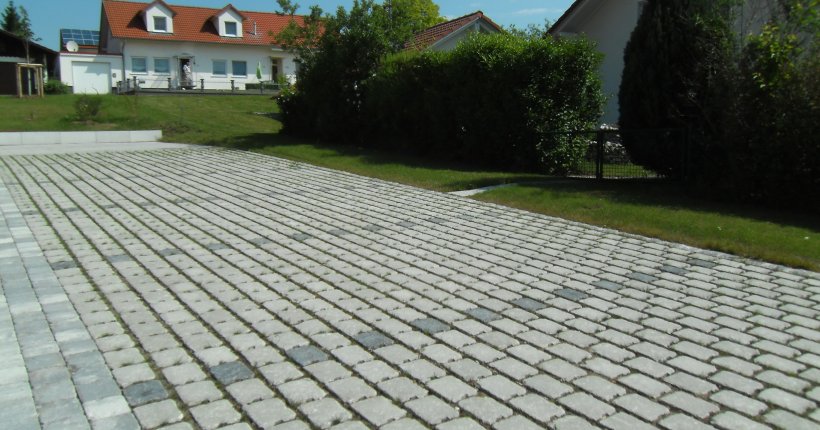 Tegula-Rasa 